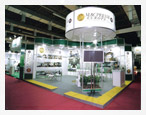 Stand Padrão
